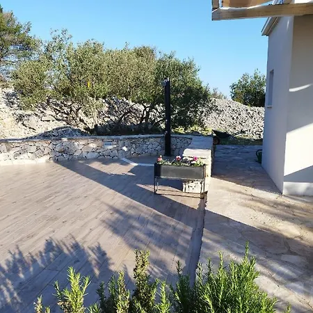 Peaceful Olea Oblica * Primosten