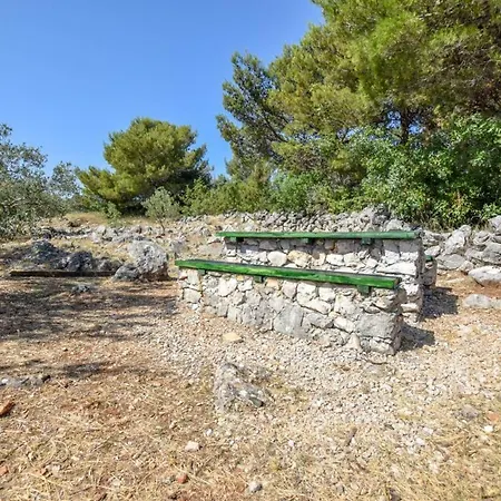 Peaceful Olea Oblica *