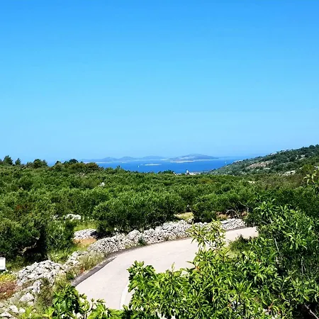 Peaceful Olea Oblica * Primošten